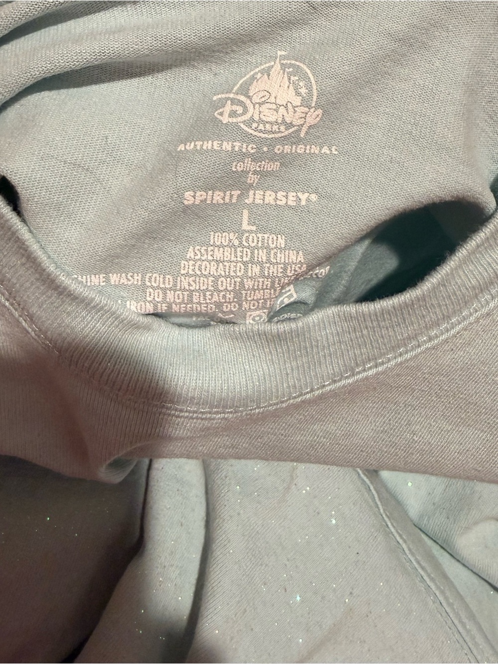 Disney World Arendelle Aqua Spirit Jersey - Picture 7 of 7